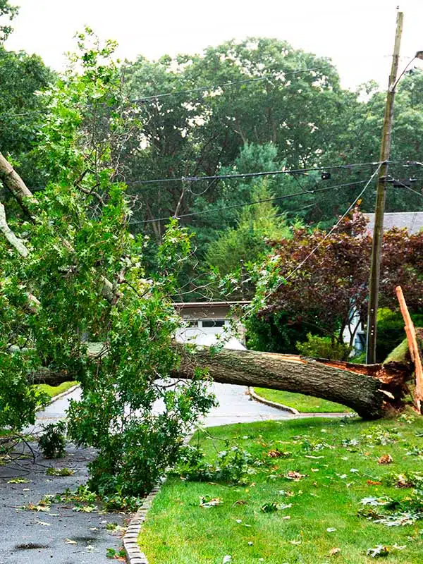 Emergency Electrical Services in Duluth