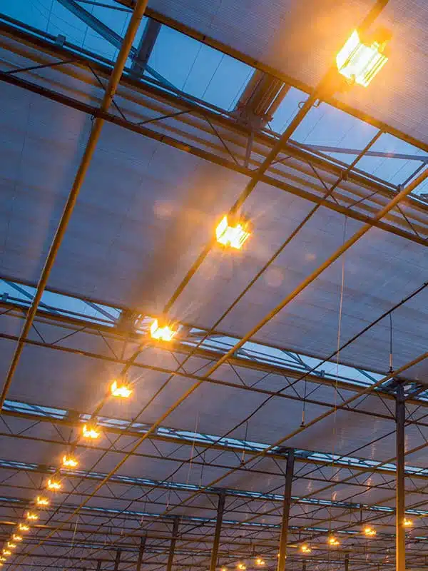 Livestock and Equipment Electrical Solutions in Duluth